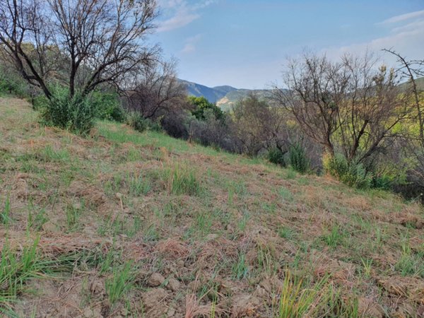 terreno agricolo in vendita a Marcellina