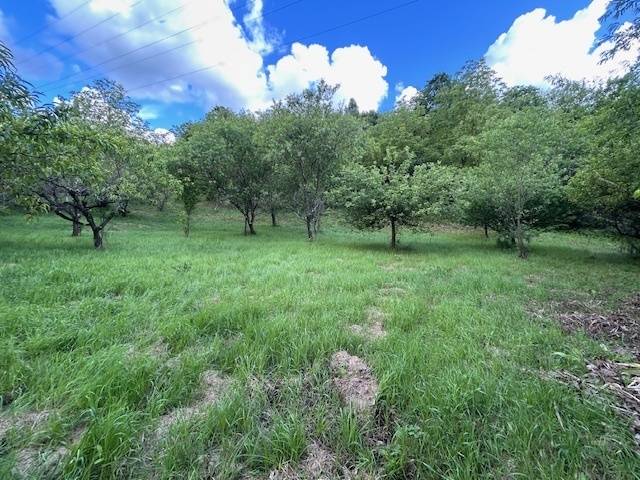 terreno agricolo in vendita a Marcellina