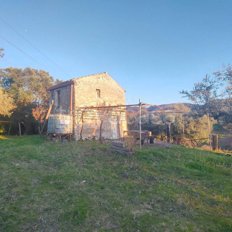 terreno agricolo in vendita a Marcellina