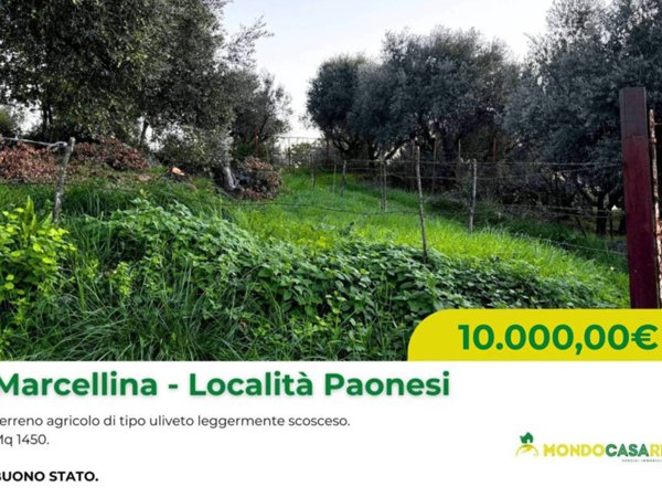 terreno agricolo in vendita a Marcellina