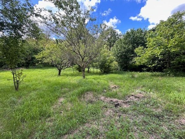 terreno agricolo in vendita a Marcellina