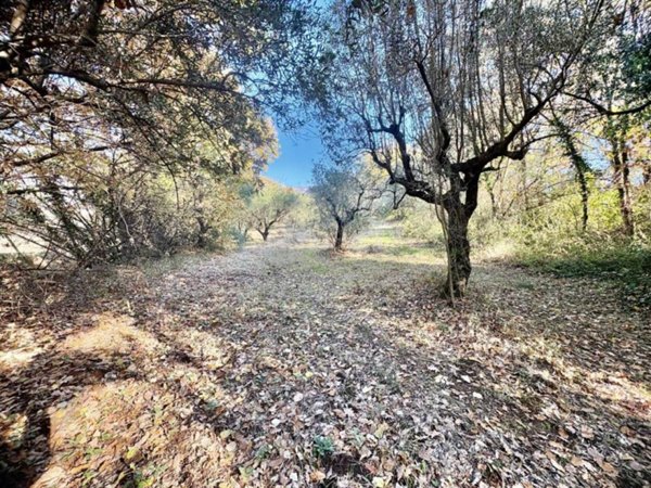 terreno agricolo in vendita a Marcellina