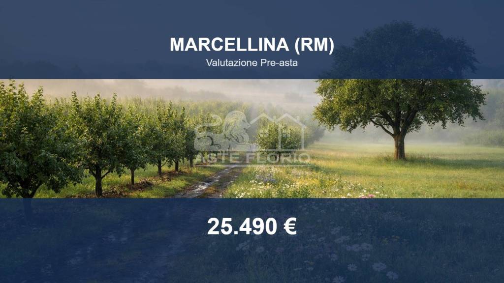terreno agricolo in vendita a Marcellina