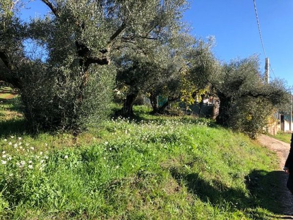 terreno edificabile in vendita a Marcellina