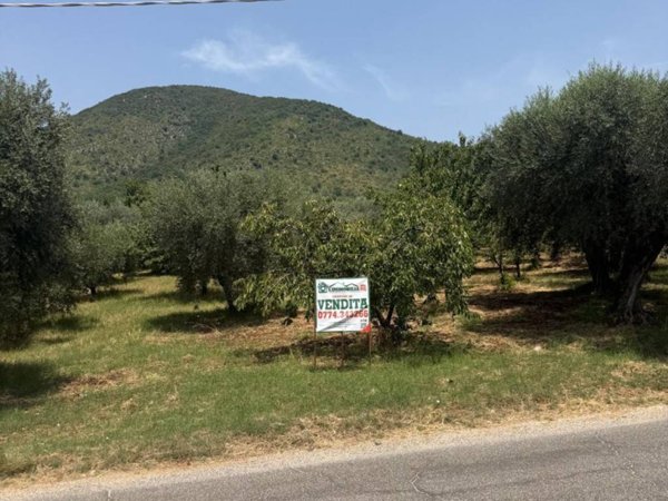 terreno agricolo in vendita a Marcellina