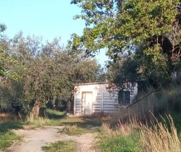 appartamento in vendita a Marcellina