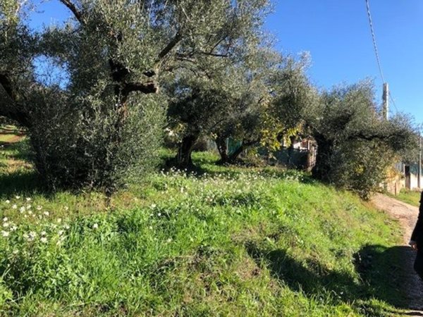 terreno agricolo in vendita a Marcellina