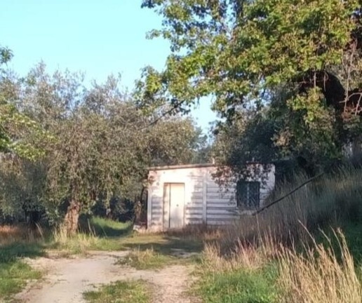 casale in vendita a Marcellina