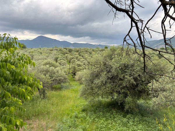 terreno in vendita a Marcellina