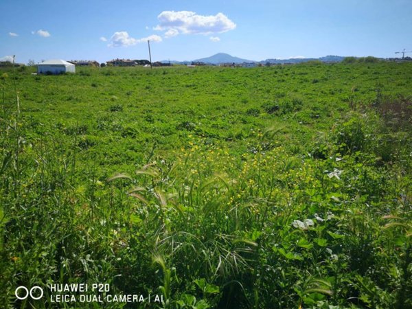 terreno agricolo in vendita a Marino in zona Santa Maria delle Mole