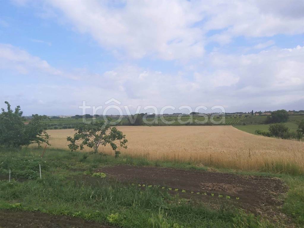 terreno agricolo in vendita a Marino in zona Castelluccia