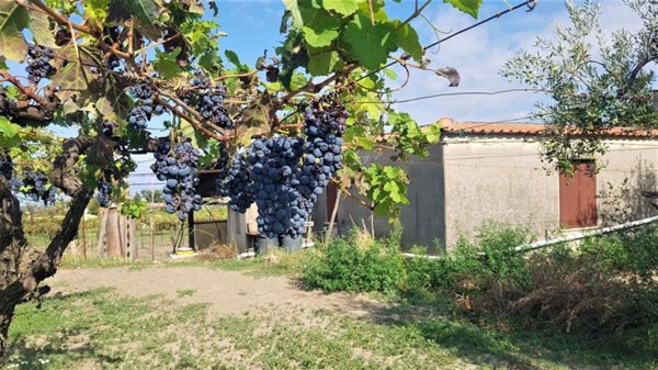 appartamento in vendita a Marino