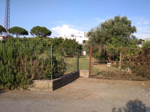 terreno agricolo in vendita a Marino