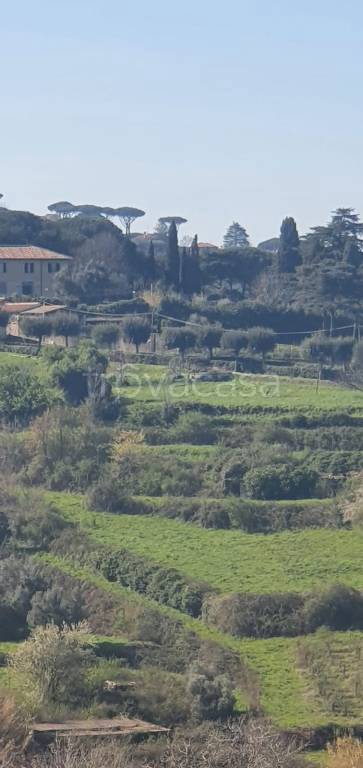 terreno agricolo in vendita a Marino