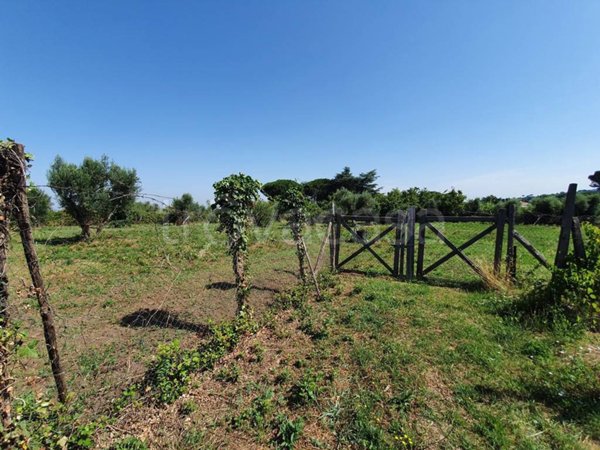 terreno agricolo in vendita a Marino in zona Due Santi