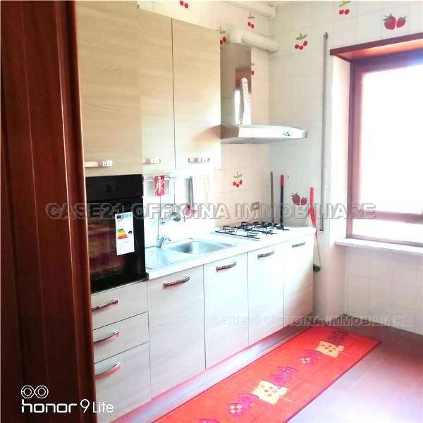 appartamento in vendita a Marino