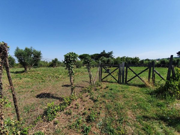 terreno agricolo in vendita a Marino in zona Cava dei Selci