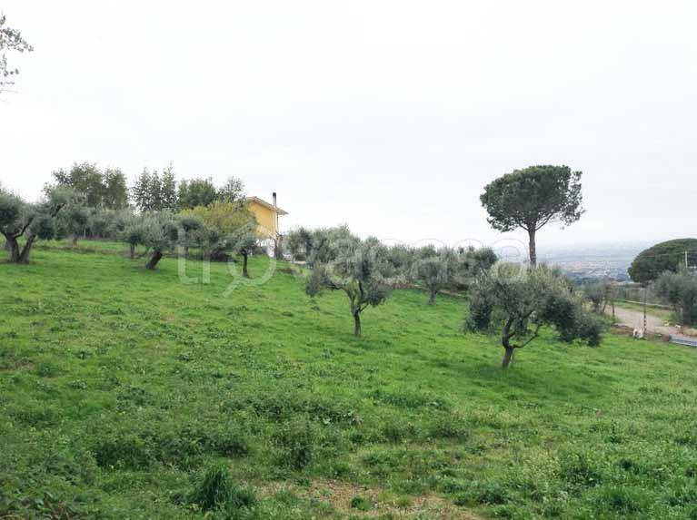 terreno agricolo in vendita a Marino in zona Due Santi