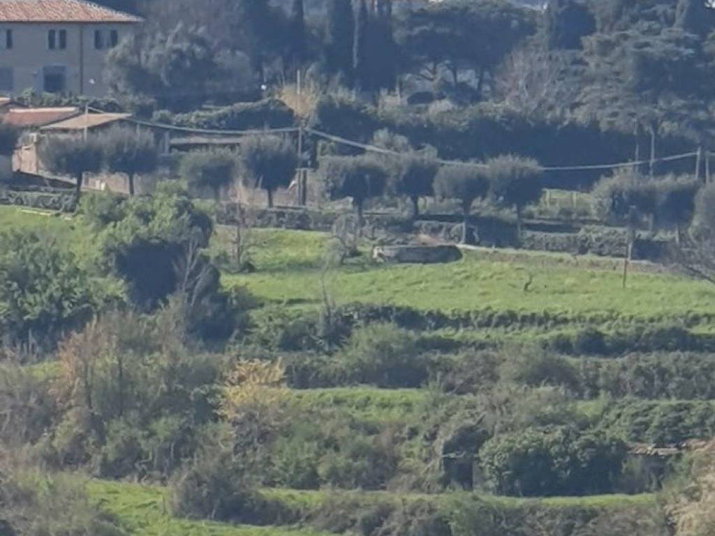 terreno agricolo in vendita a Marino