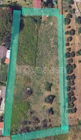 terreno agricolo in vendita a Marino in zona Castelluccia