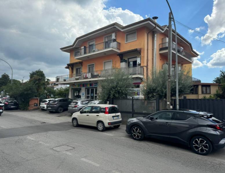 negozio in vendita a Marino in zona Santa Maria delle Mole