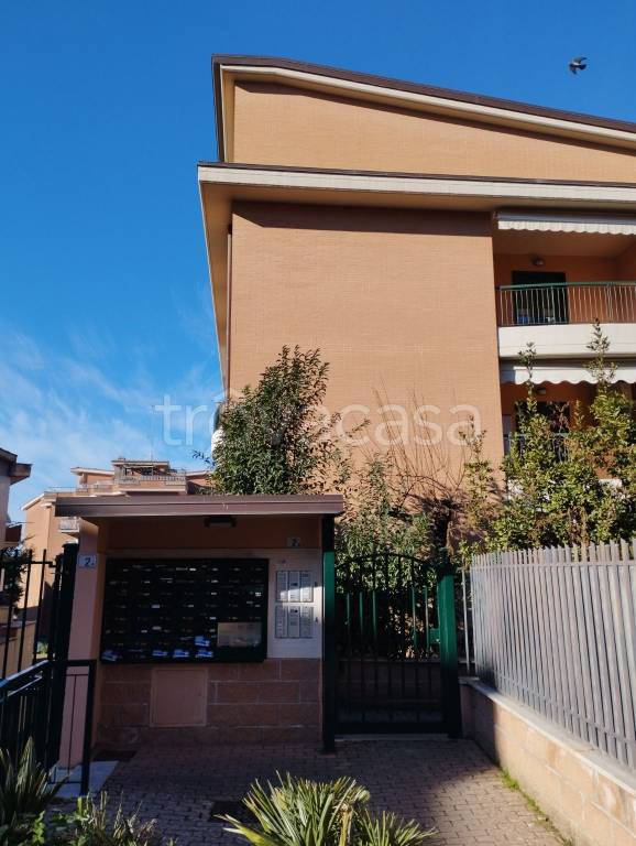 appartamento in vendita a Marino