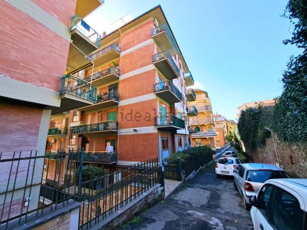 appartamento in vendita a Marino