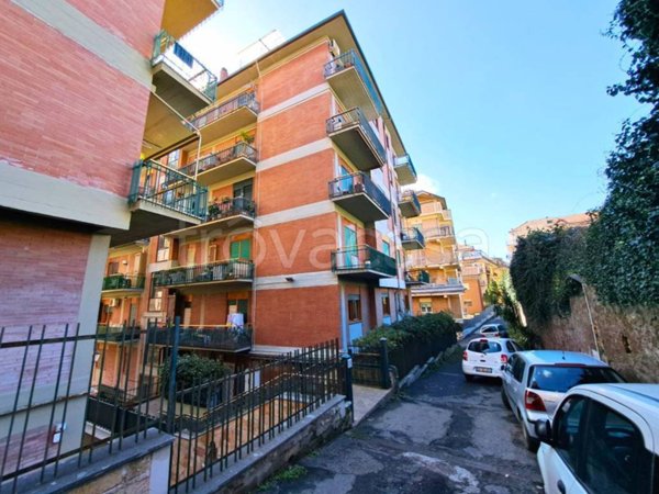 appartamento in vendita a Marino