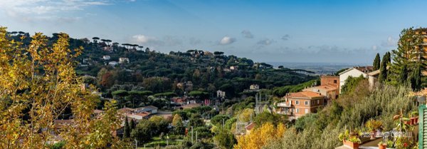 appartamento in vendita a Marino