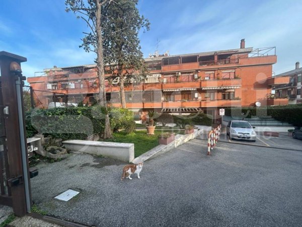 appartamento in vendita a Marino in zona Santa Maria delle Mole