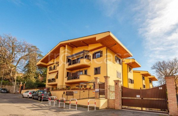 appartamento in vendita a Marino