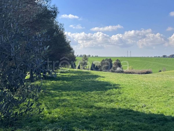 terreno agricolo in vendita a Marino in zona Santa Maria delle Mole