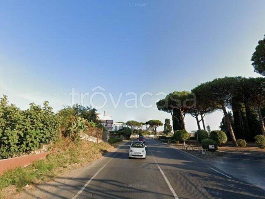 immagine annuncio 0 di 15