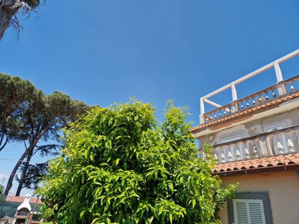 appartamento in vendita a Marino in zona Due Santi