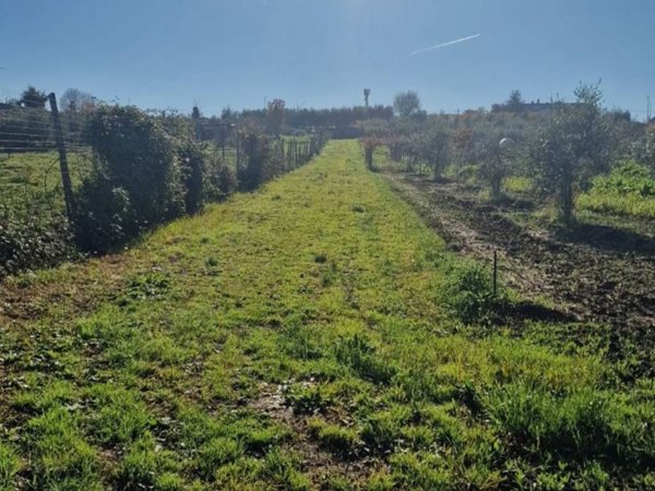 terreno agricolo in vendita a Marino in zona Castelluccia