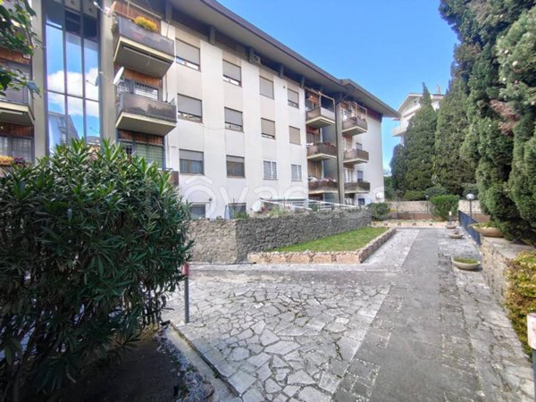 appartamento in vendita a Marino