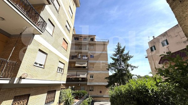 appartamento in vendita a Marino