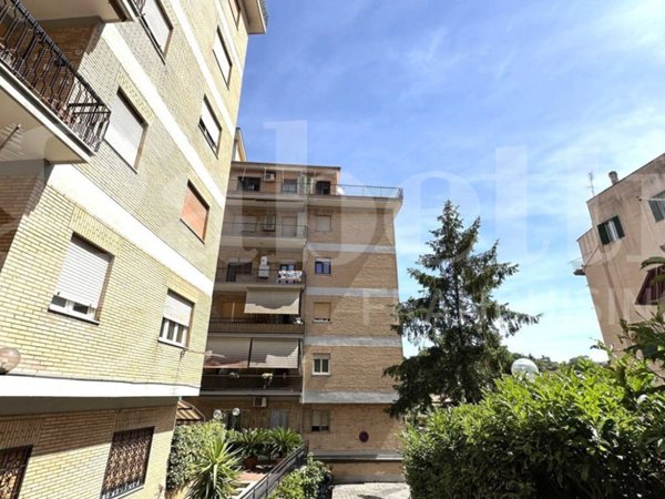 appartamento in vendita a Marino