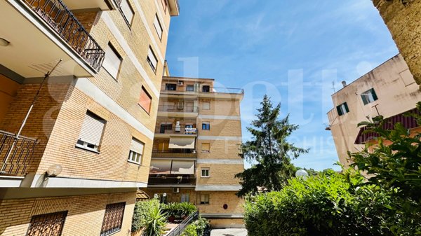 appartamento in vendita a Marino