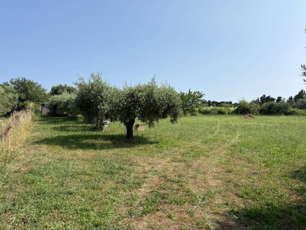 terreno agricolo in vendita a Marino in zona Castelluccia