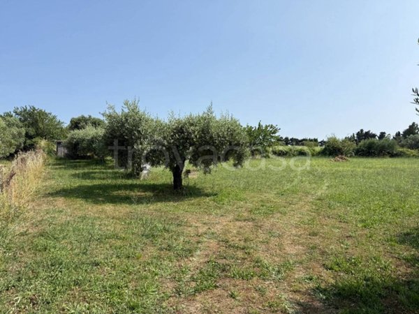 terreno agricolo in vendita a Marino in zona Castelluccia
