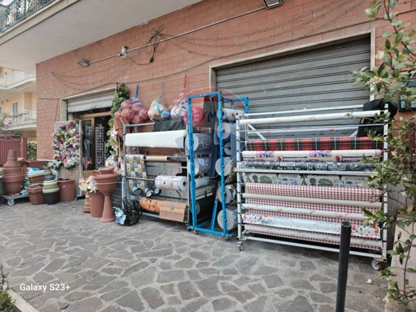 immagine annuncio 0 di 10