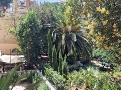 appartamento in vendita a Marino