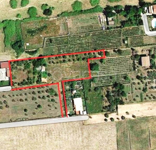 terreno agricolo in vendita a Marino in zona Due Santi