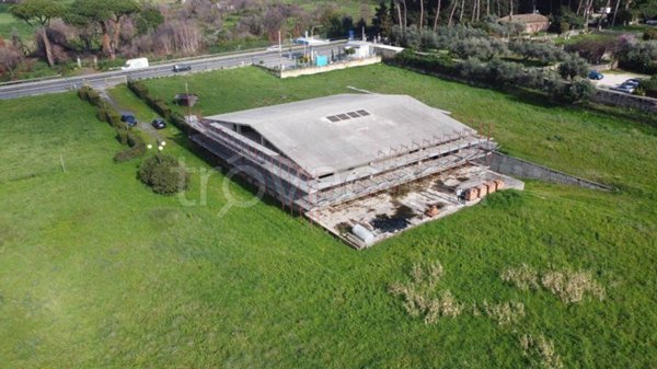 negozio in vendita a Marino in zona Castelluccia