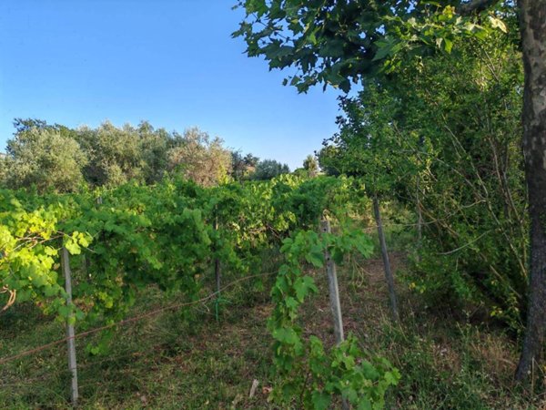terreno agricolo in vendita a Marino in zona Cava dei Selci