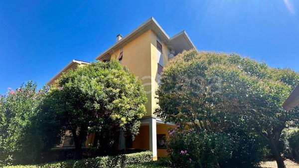 appartamento in vendita a Marino in zona Cava dei Selci