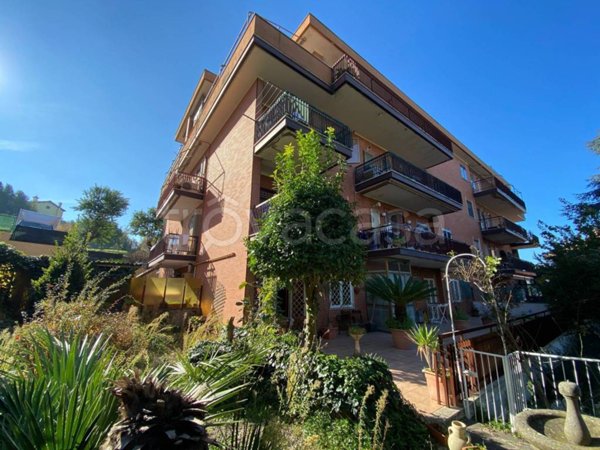 appartamento in vendita a Marino