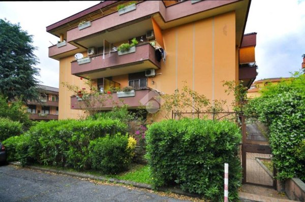 appartamento in vendita a Marino