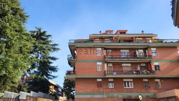 appartamento in vendita a Marino